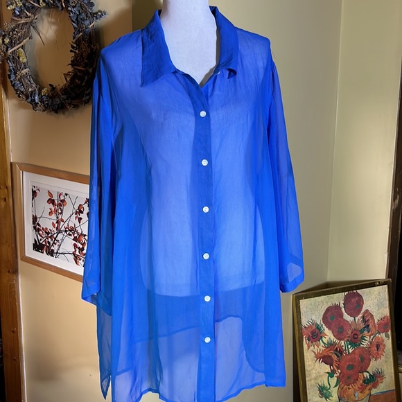Vintage ROMANS Size 2X Blue Transparent Chiffon ButtonFront Blouse Layering Top - Picture 3 of 8